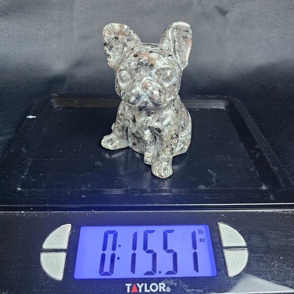 Yooperlite French Bulldog - Picture 8 of 8